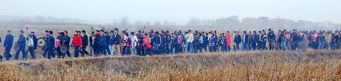 DSCF6578.jpg