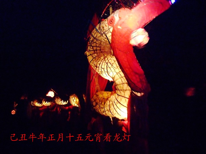 DSCF6793.jpg