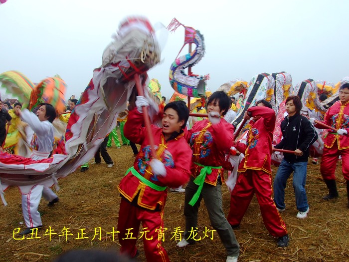 DSCF7138.jpg