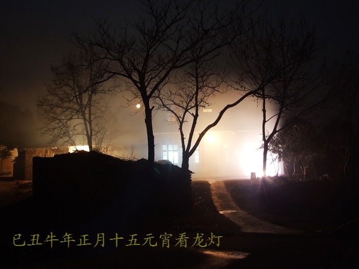 DSCF6865.jpg