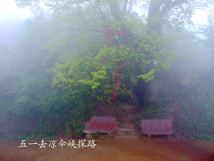 DSCF8778.jpg