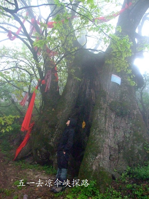 DSCF8776.jpg
