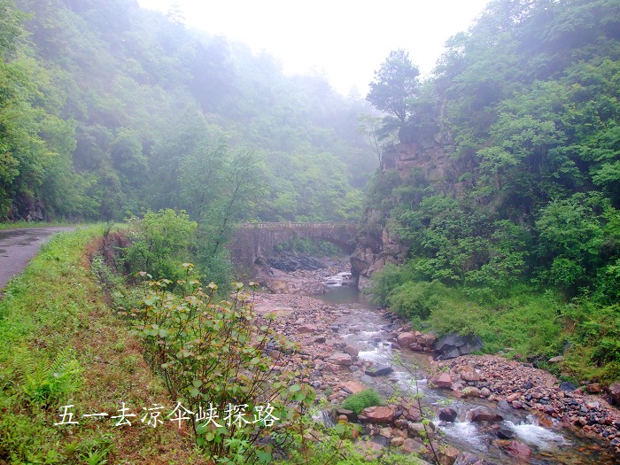 DSCF8779.jpg