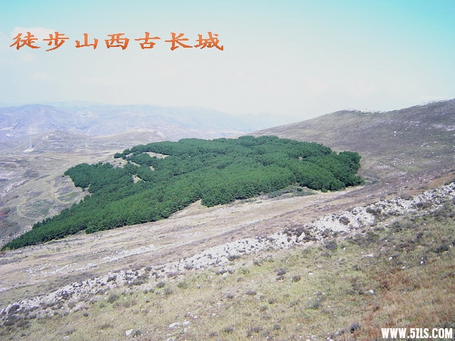 17.jpg