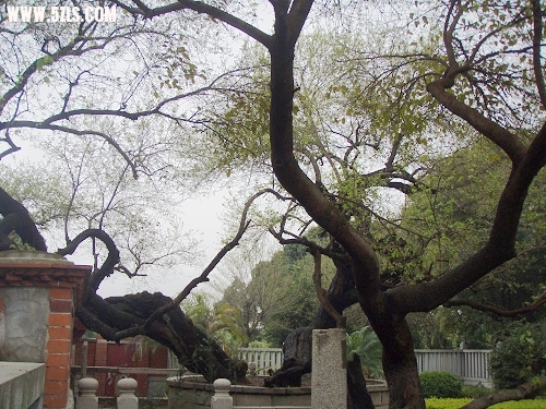 P2150386-1.jpg