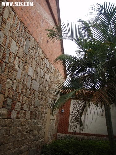 P2150402-1.jpg