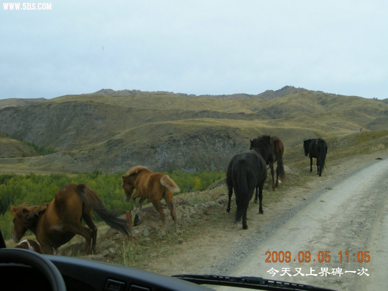 DSCN2442.JPG