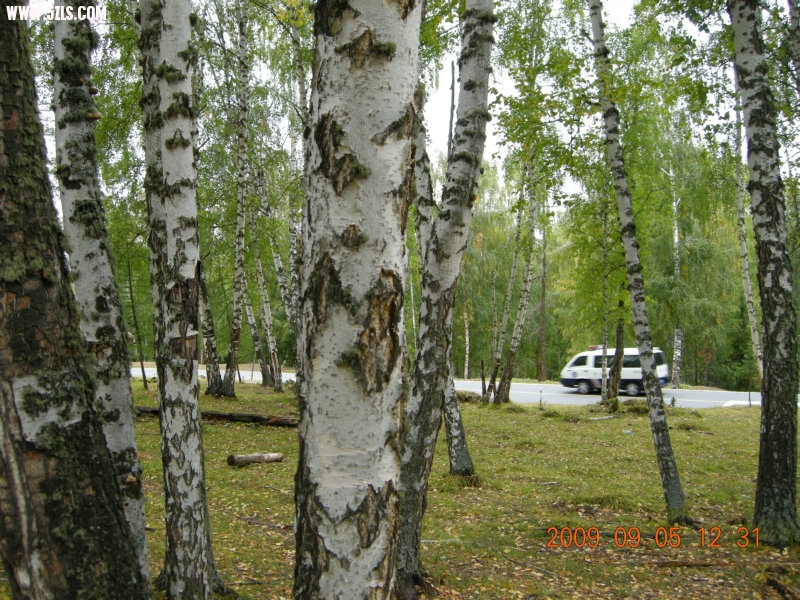 DSCN2466.JPG
