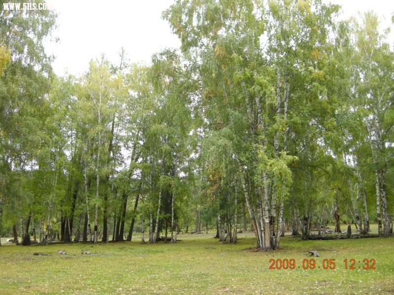 DSCN2467.JPG