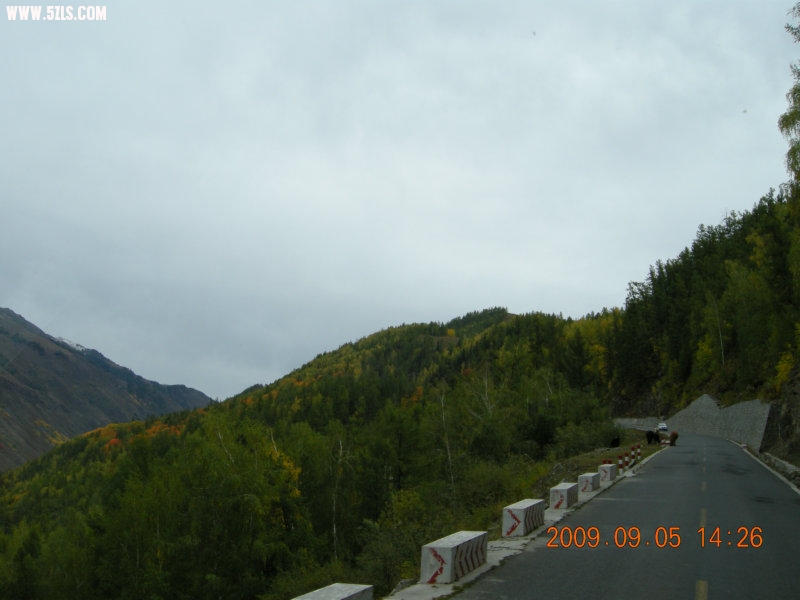 DSCN2470.JPG