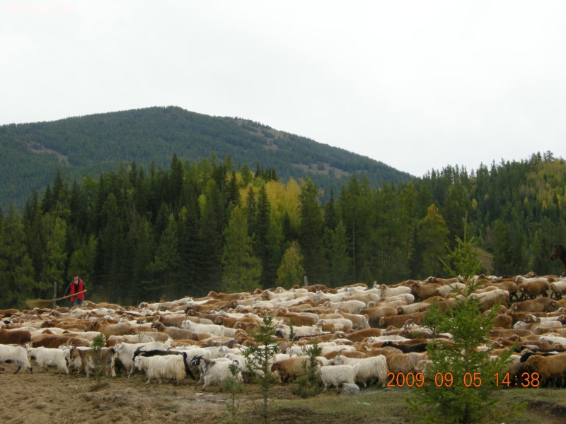 DSCN2479.JPG