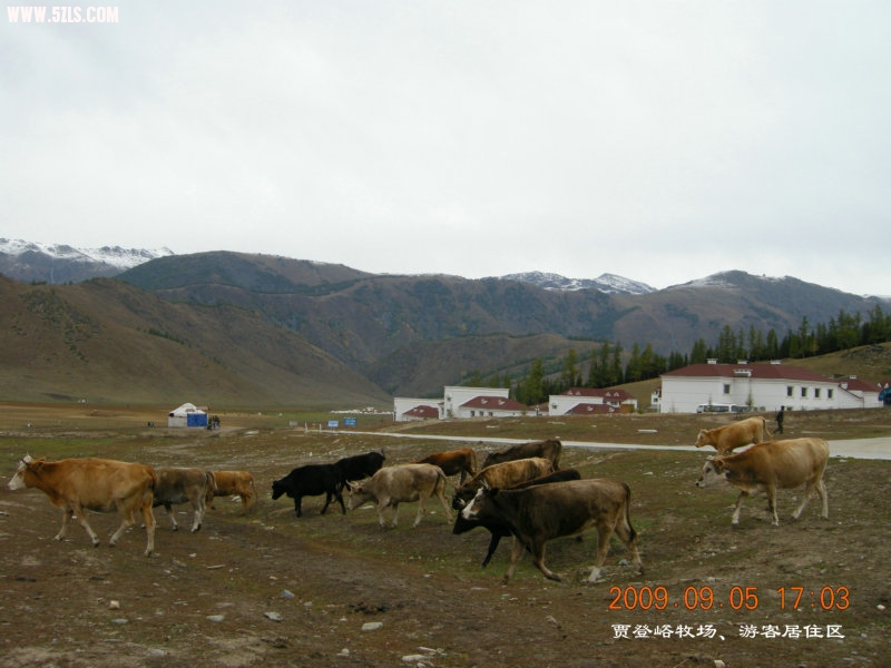 DSCN2485.JPG