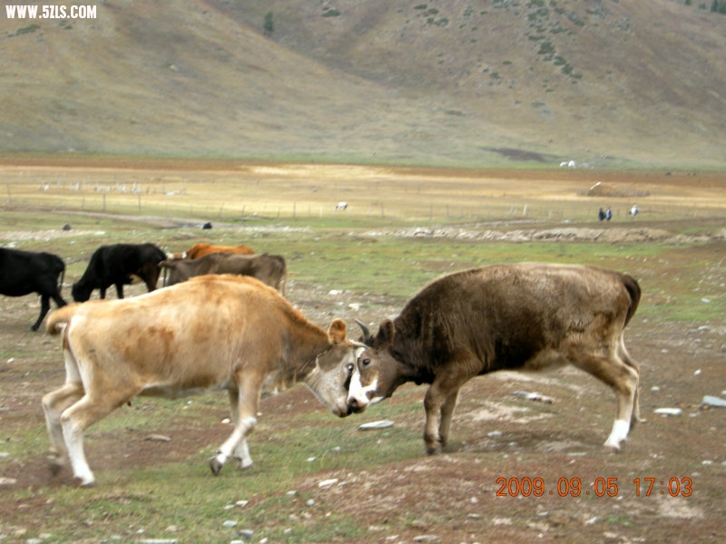 DSCN2486.JPG