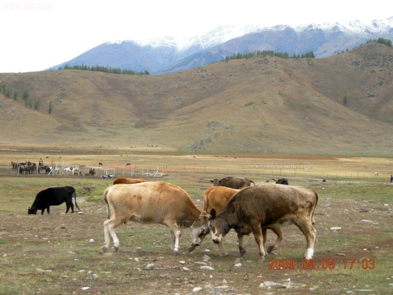 DSCN2488.JPG