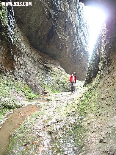 nEO_IMG_IMG_2232.jpg