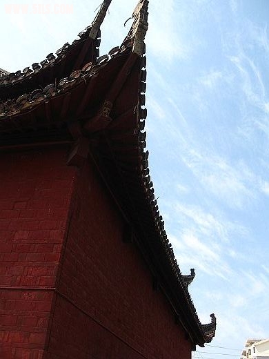 nEO_IMG_IMG_2431.jpg