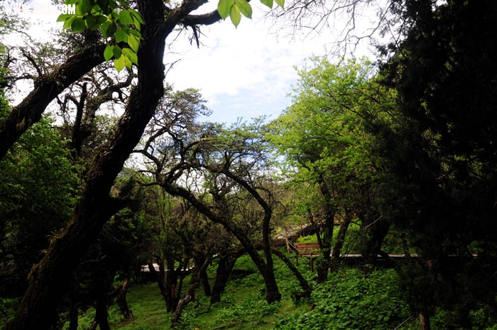 DSC_0055.JPG