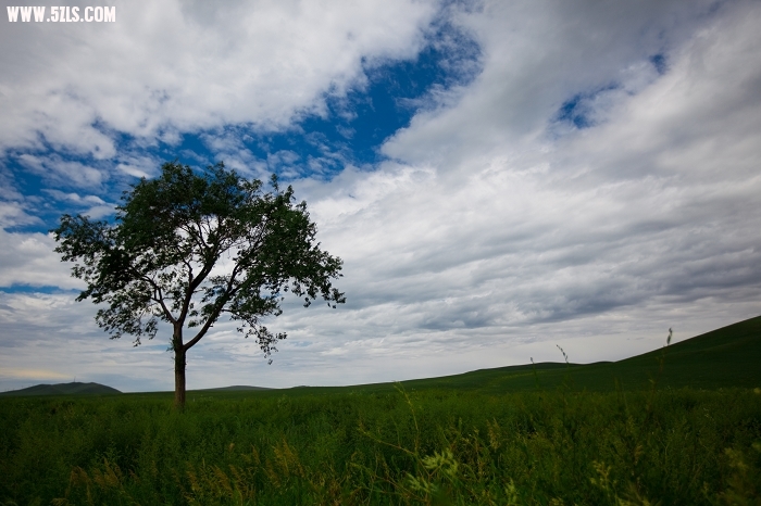 20100718-_MG_3697.jpg