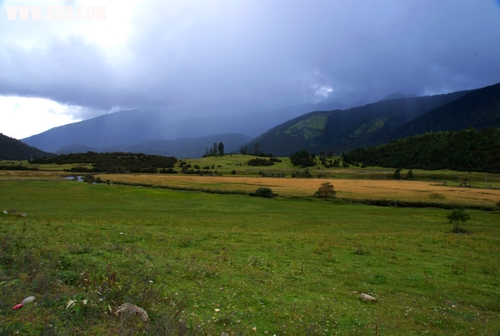 DSC05469.jpg