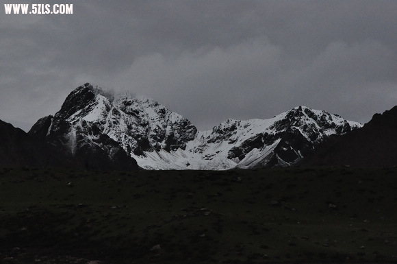 DSC_0139.jpg