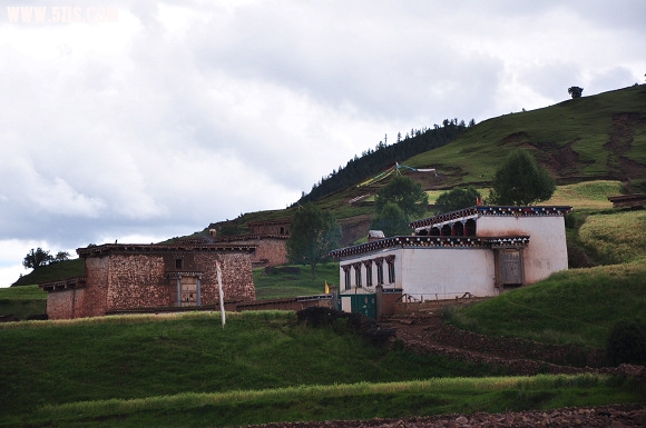 DSC_0248.jpg
