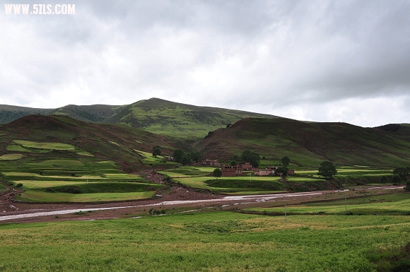 DSC_0254.jpg