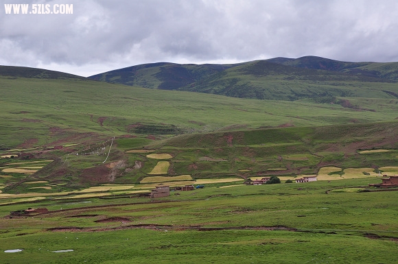 DSC_0259.jpg