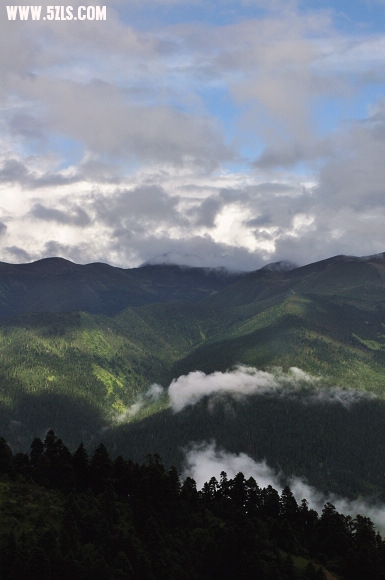 DSC_0214.jpg