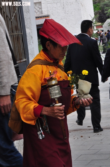 DSC_0819.jpg