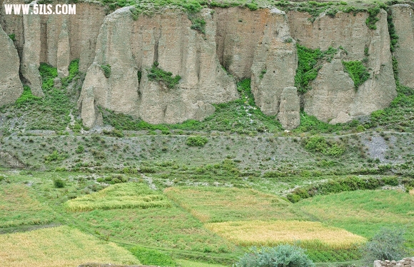 DSC_0663.jpg