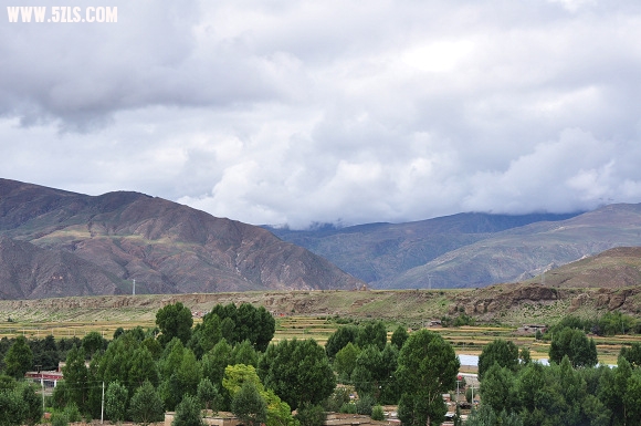 DSC_0635.jpg