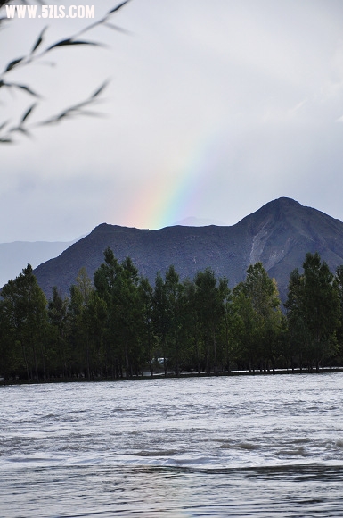 DSC_0720.jpg