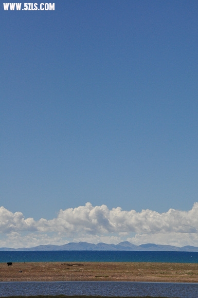 DSC_0236.jpg