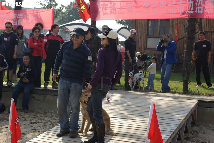 IMGP6782.jpg