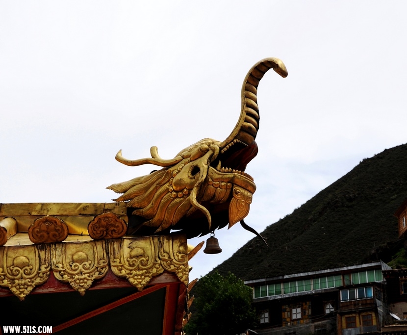 ��Ƭ 1244-1.jpg
