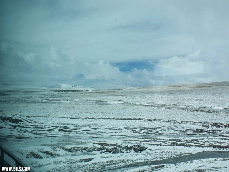 DSCF8524.jpg