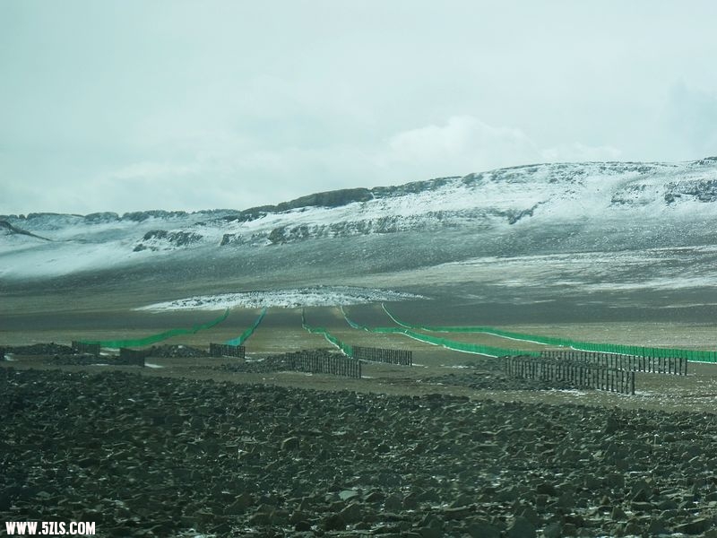 DSCF8538.jpg