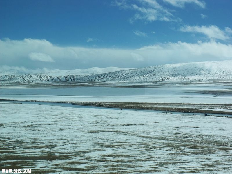 DSCF8560.jpg
