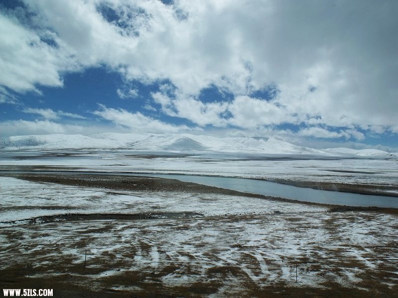 DSCF8559.jpg