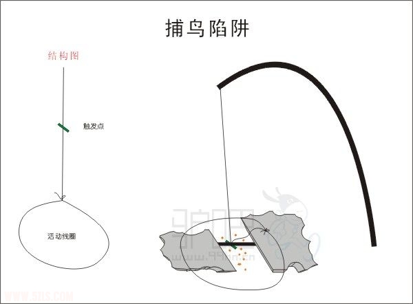 2011001.jpg