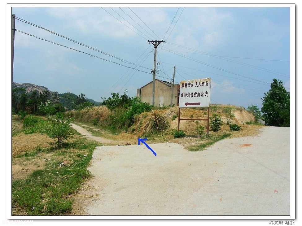 DSCN6510.jpg