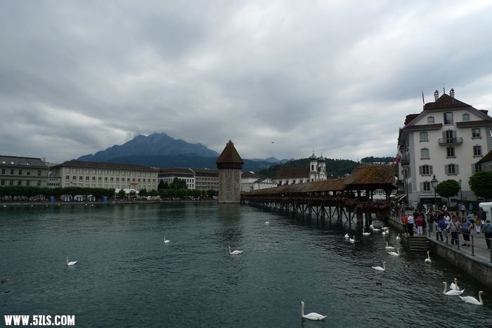 L1130765.jpg
