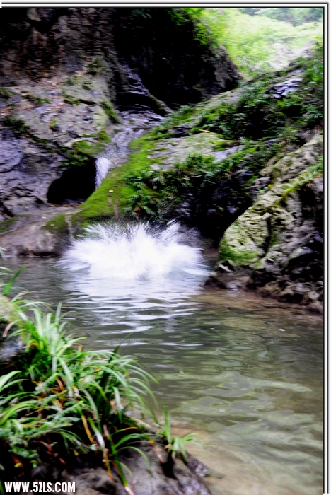 DSC_5386.JPG