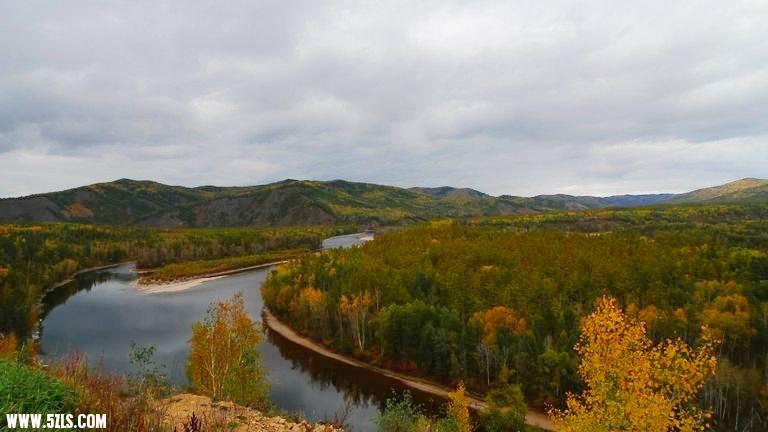 P1090232.jpg