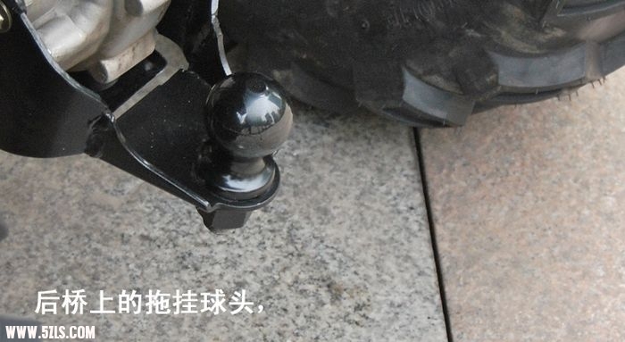 2509109.jpg