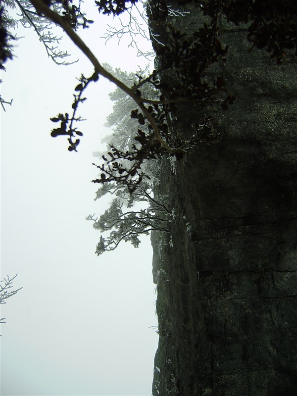 87.jpg