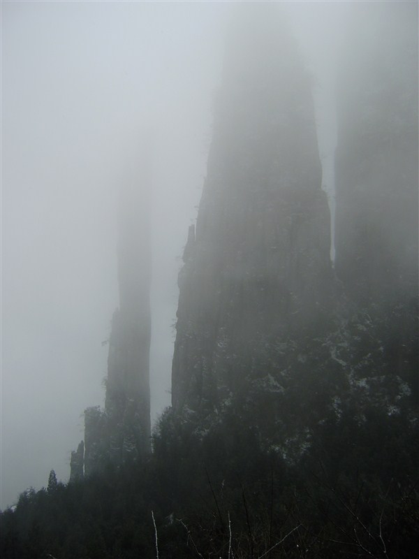 97.jpg