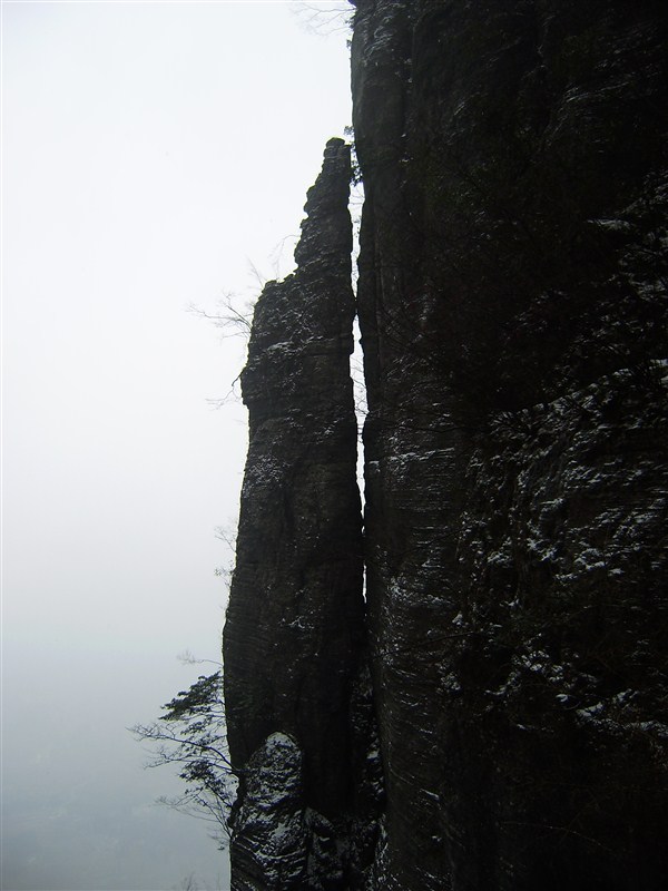 98.jpg