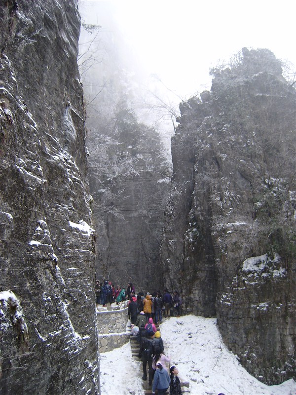 91.jpg