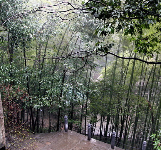 Img1333540_780.jpg
